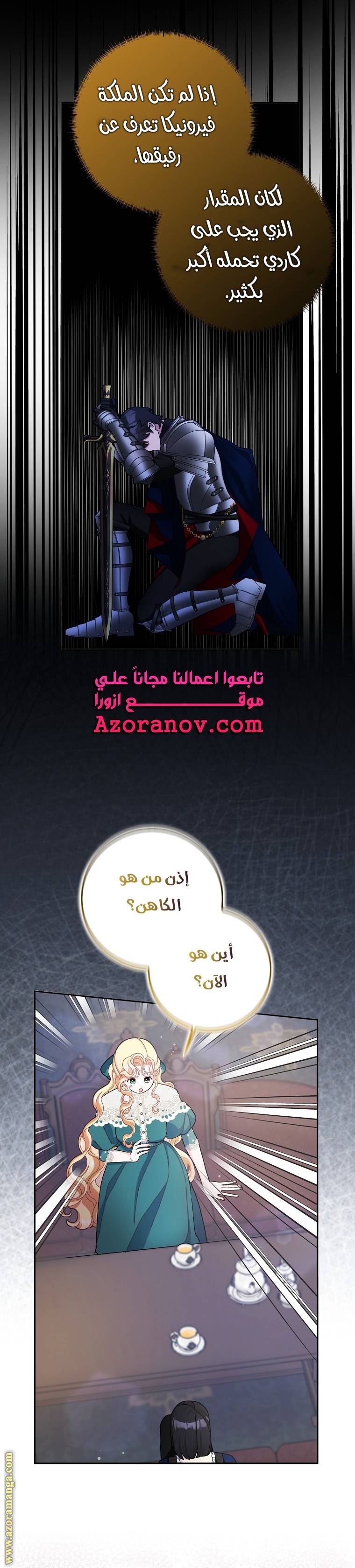 الصفحة 13