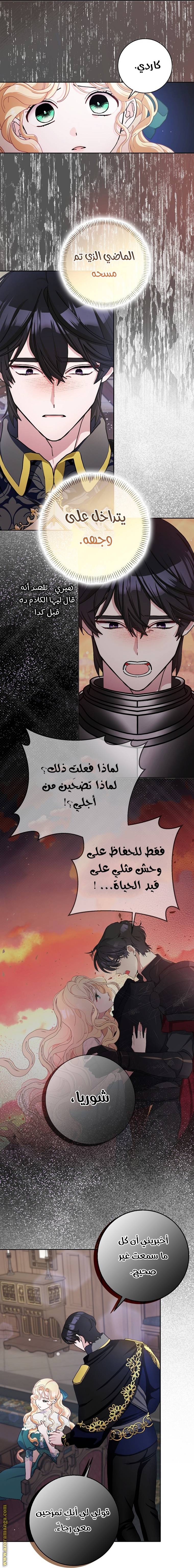 الصفحة 25