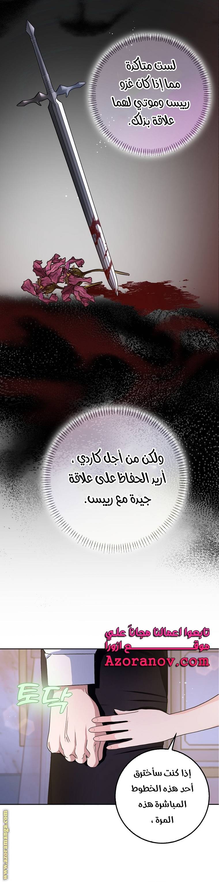 الصفحة 17
