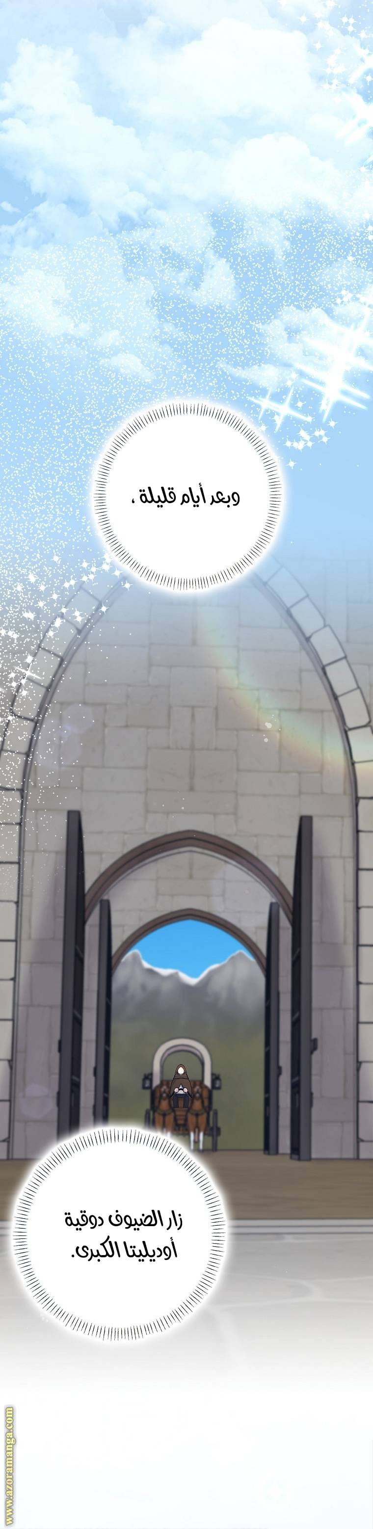 الصفحة 27