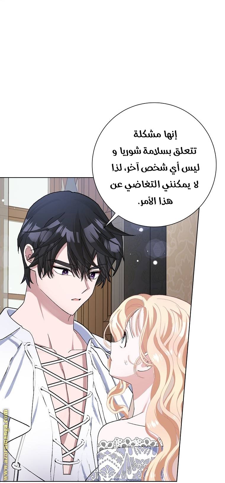الصفحة 17