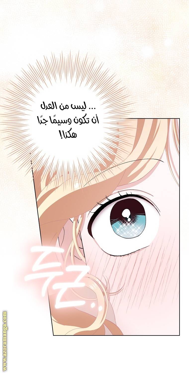 الصفحة 25