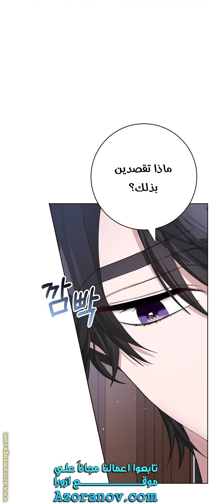 الصفحة 29