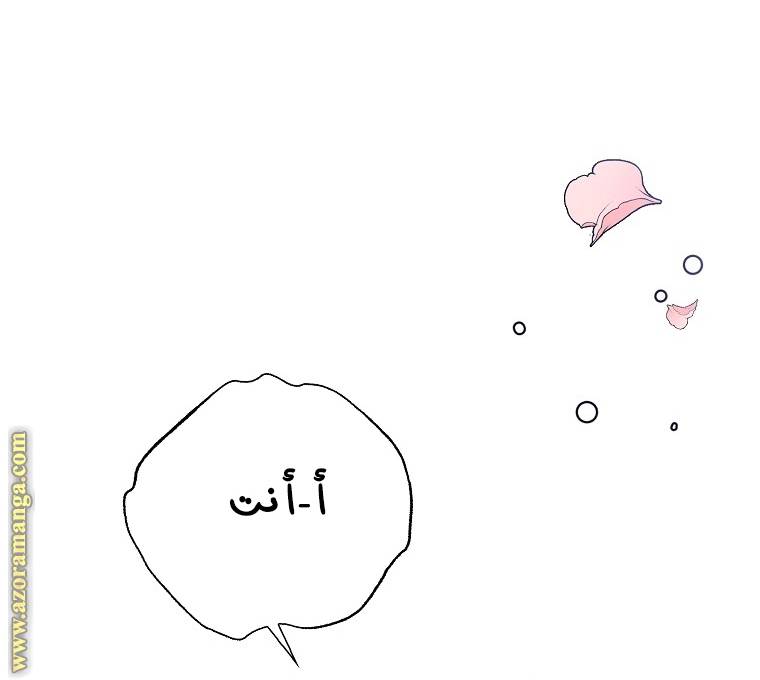 الصفحة 30