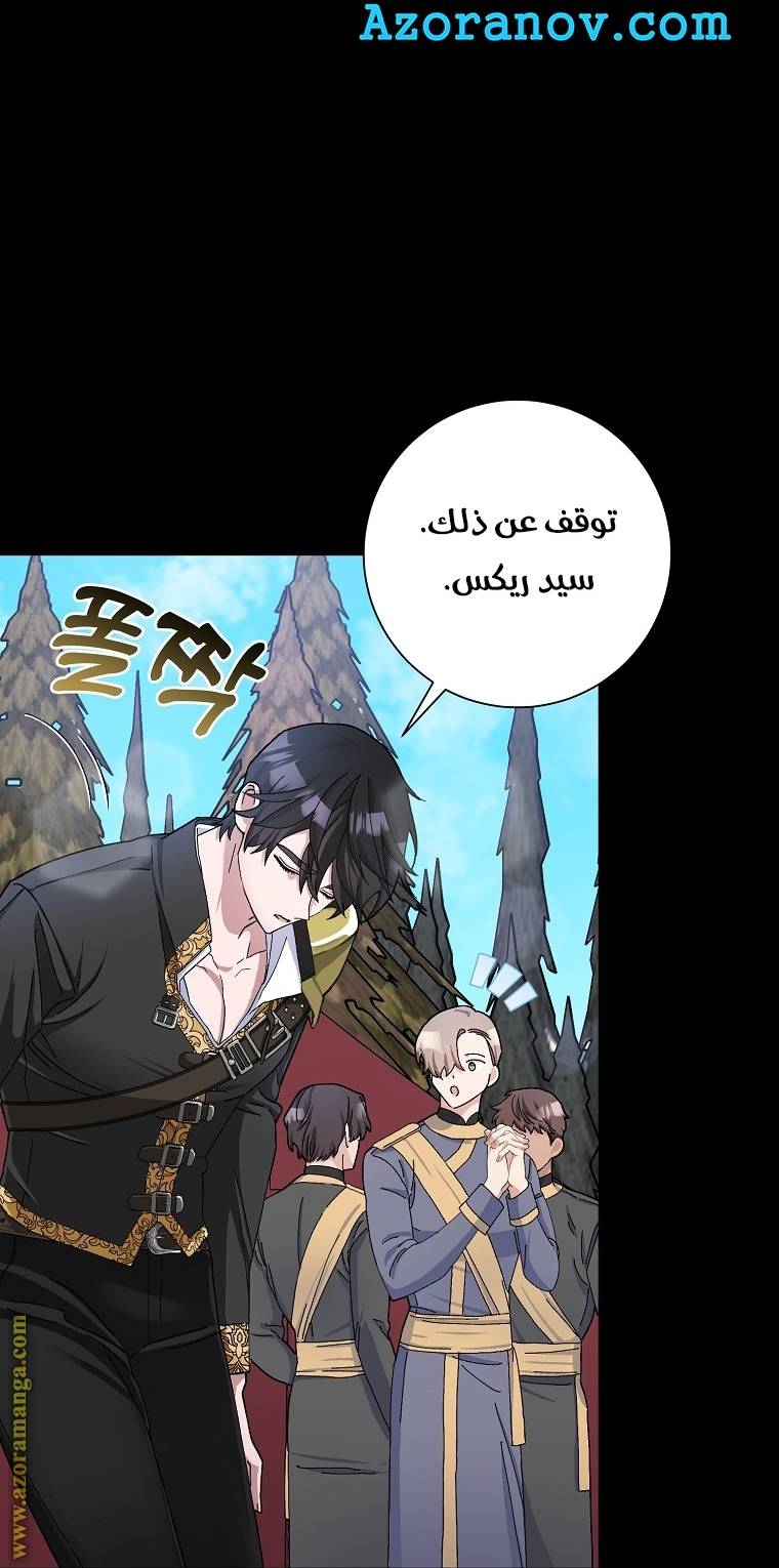 الصفحة 43