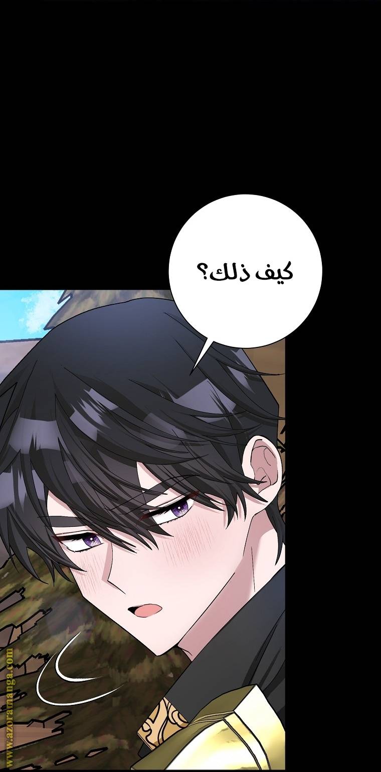 الصفحة 45