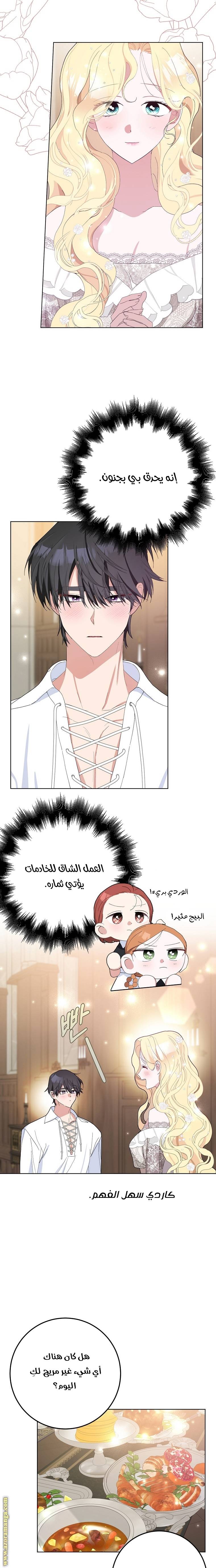 الصفحة 3