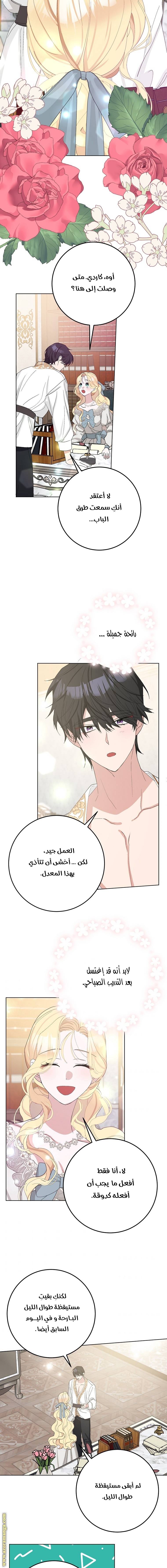 الصفحة 11