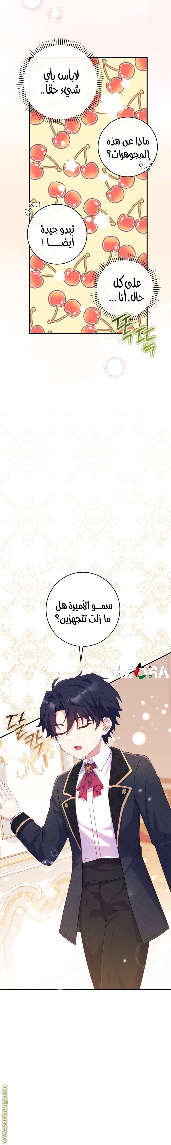 الصفحة 12