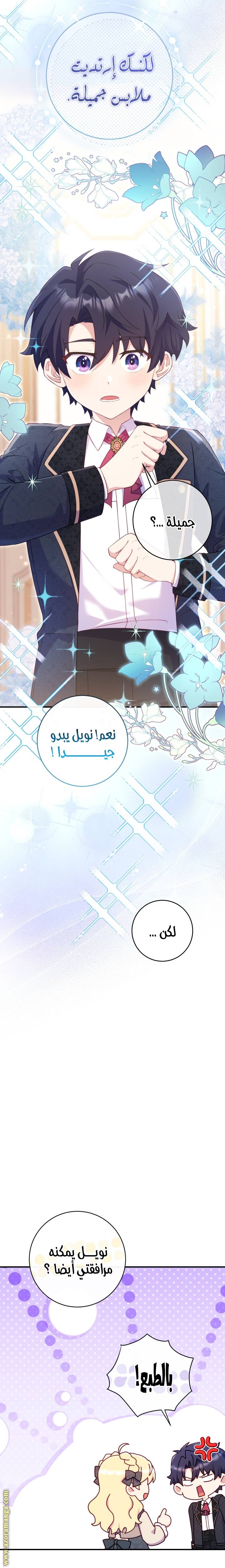 الصفحة 17