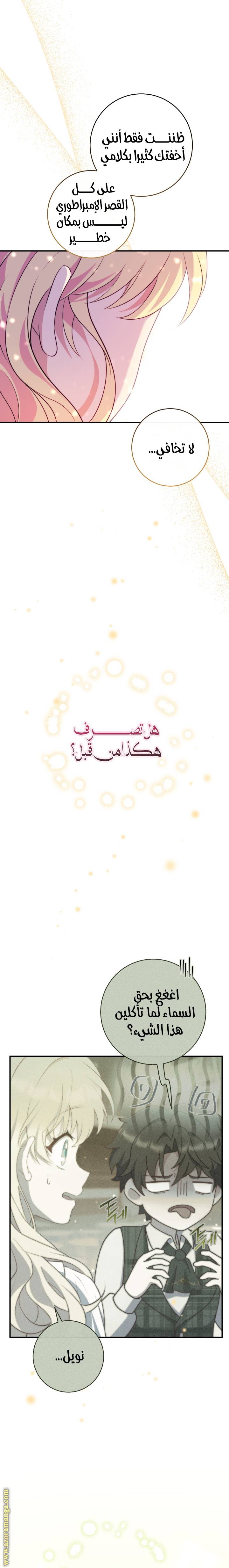 الصفحة 26