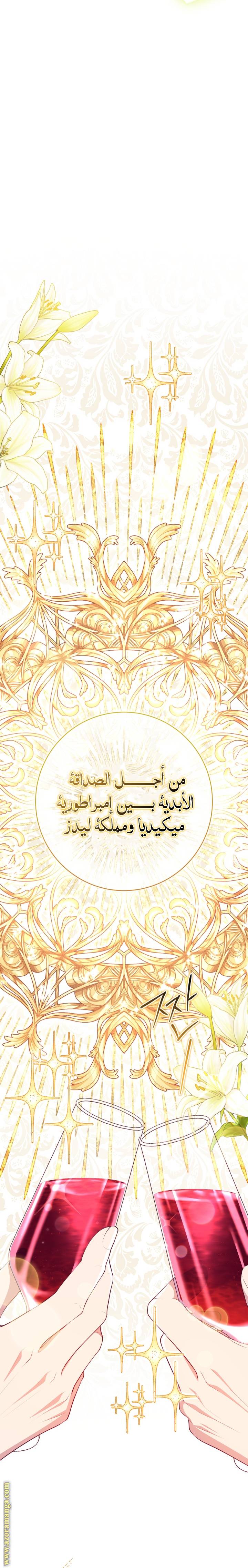 الصفحة 29