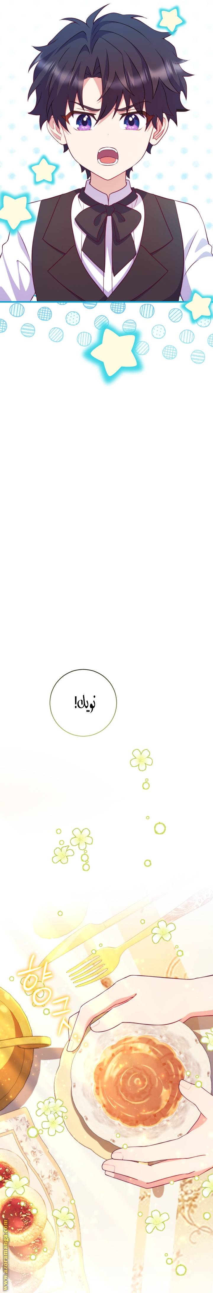 الصفحة 11
