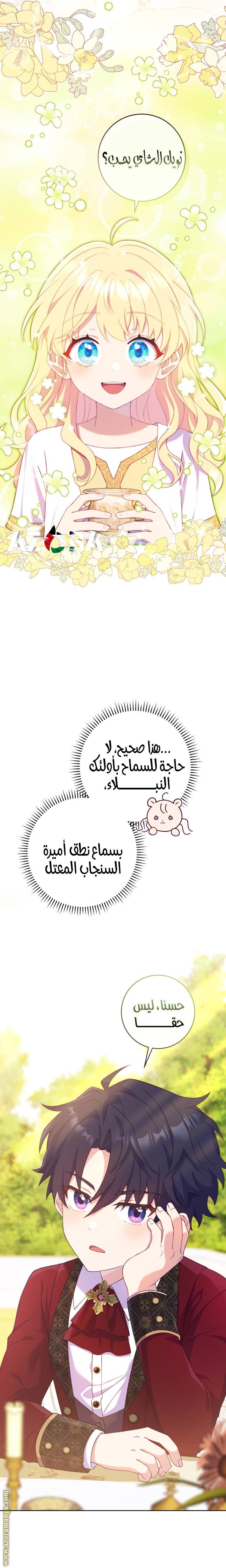 الصفحة 12