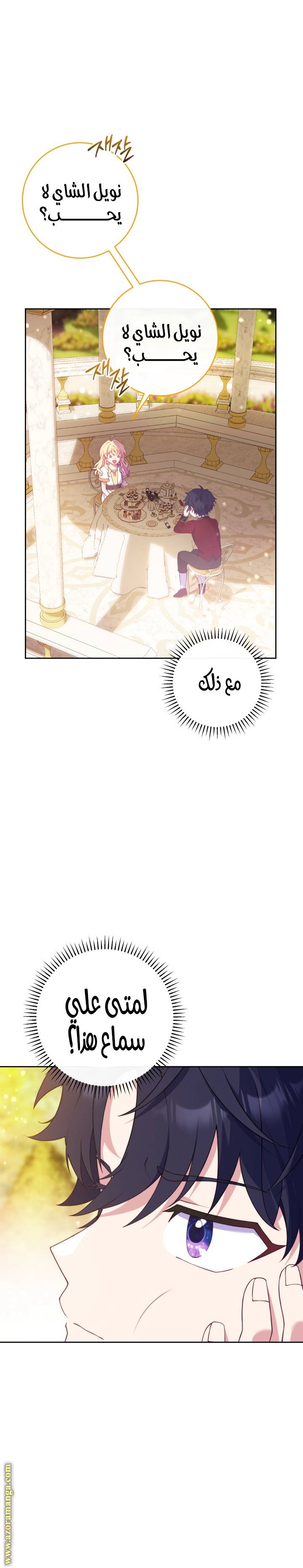 الصفحة 13