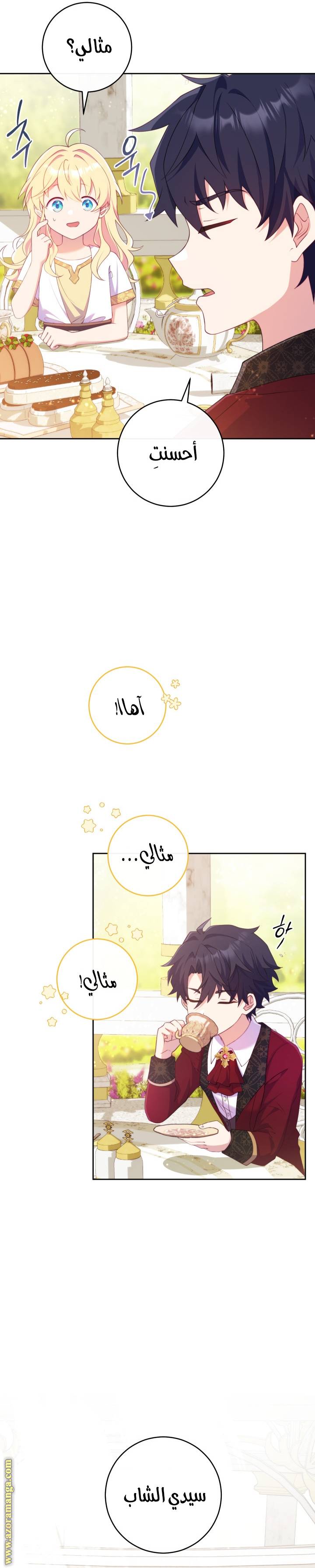 الصفحة 17