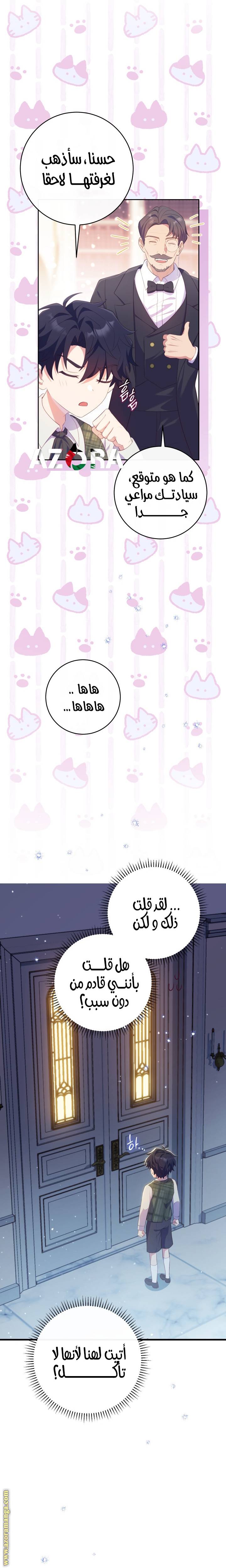 الصفحة 27