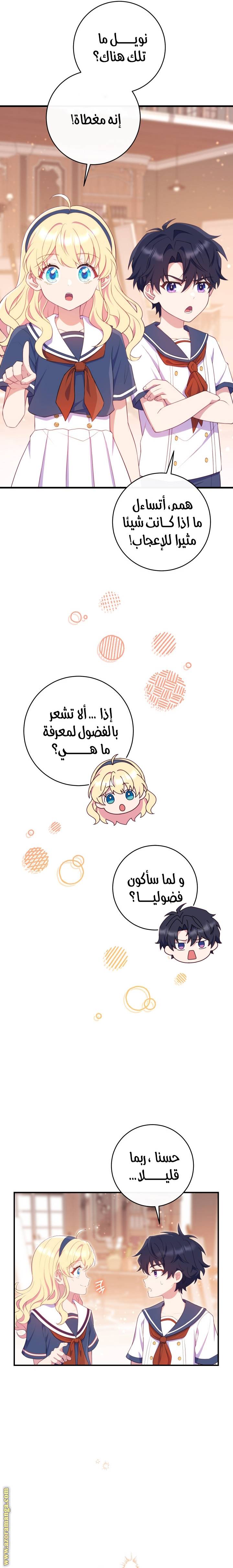 الصفحة 17