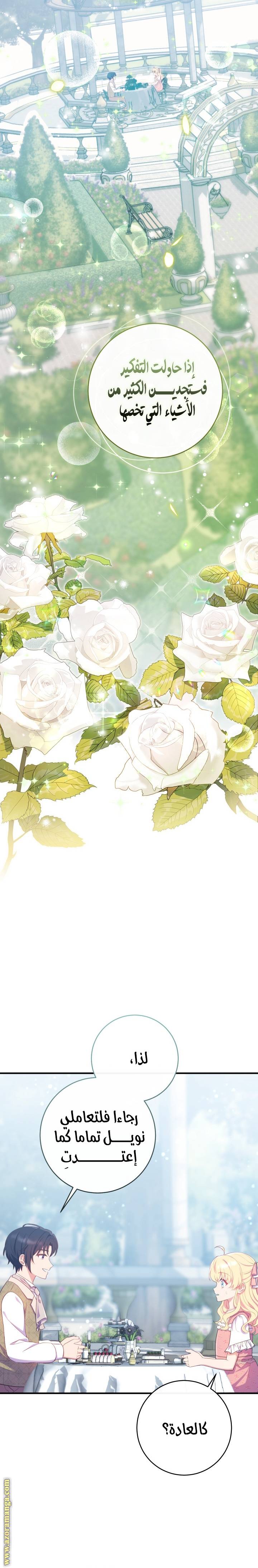الصفحة 26