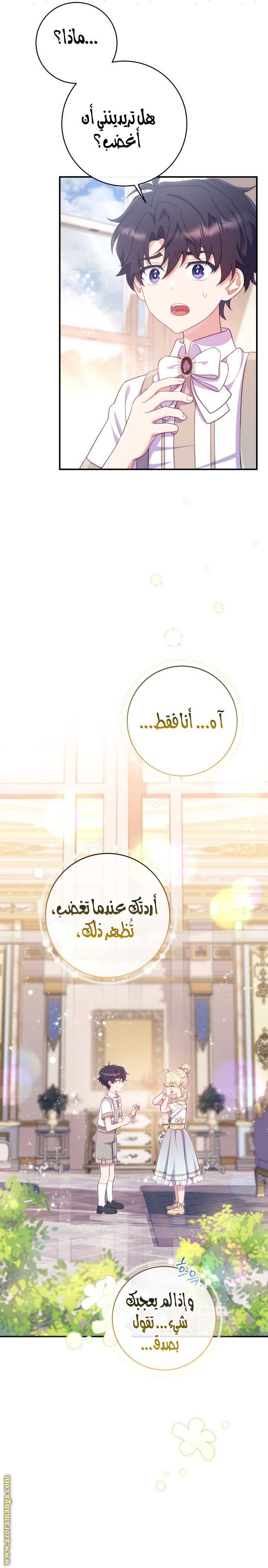 الصفحة 17
