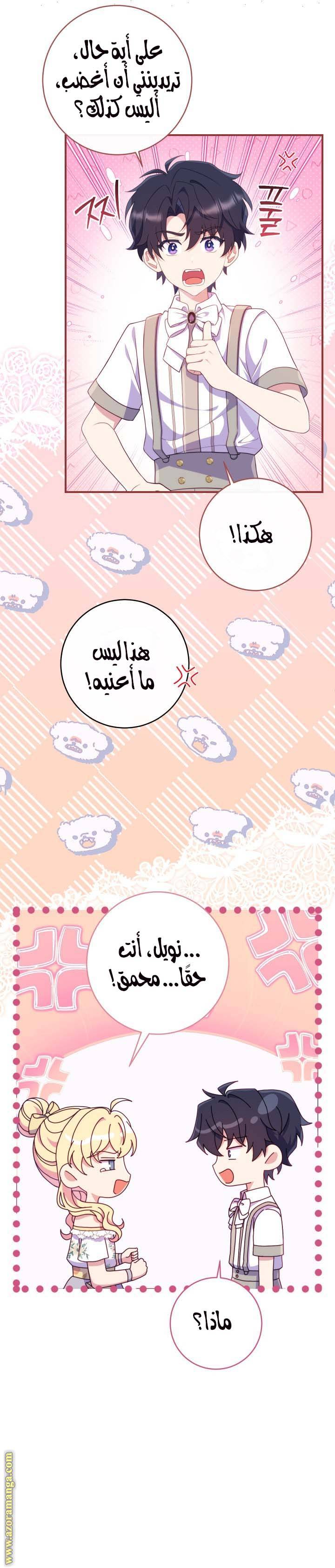 الصفحة 19