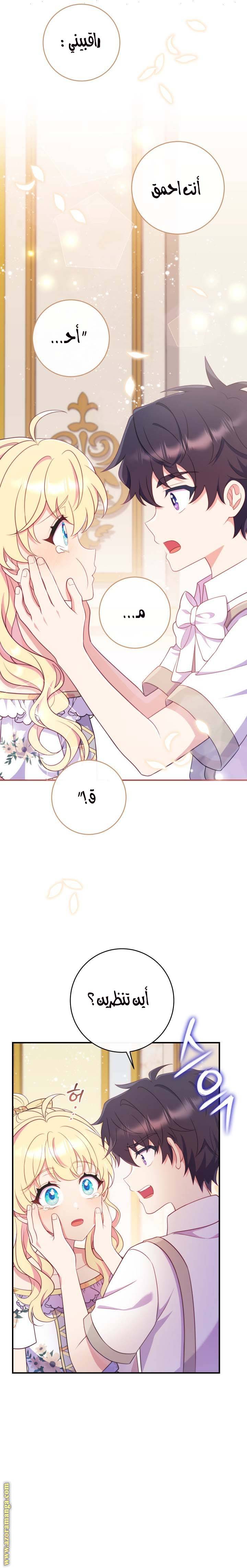 الصفحة 21