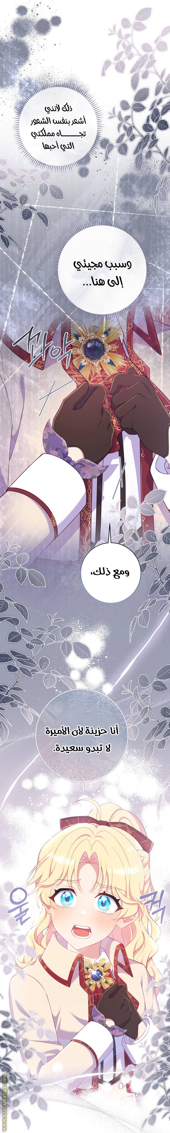 الصفحة 26