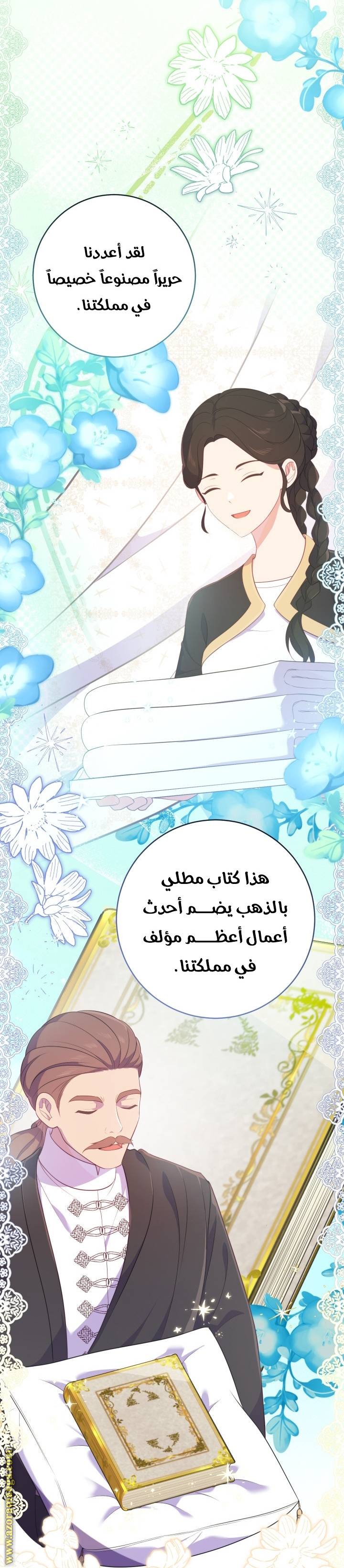 الصفحة 13