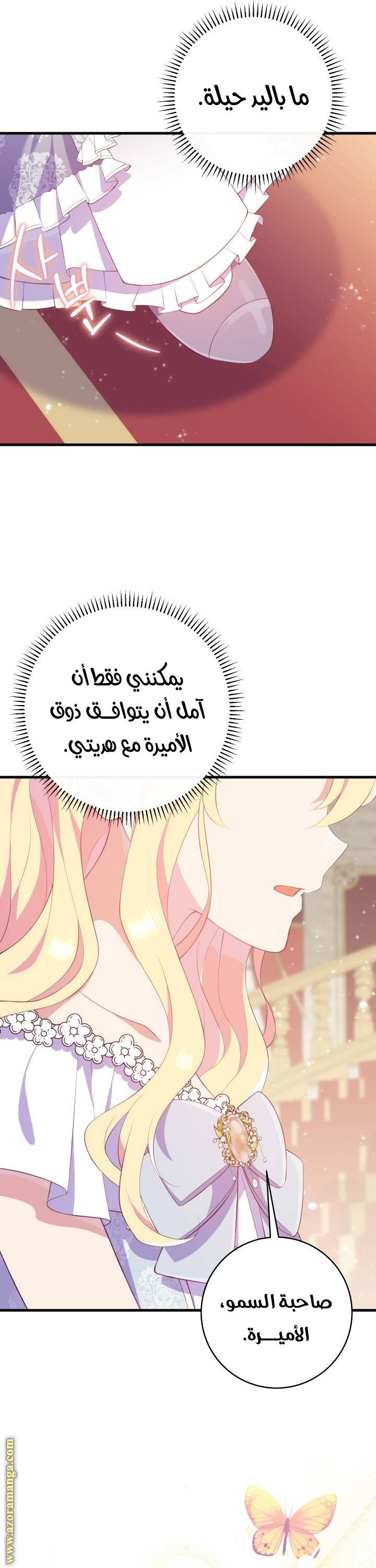 الصفحة 21