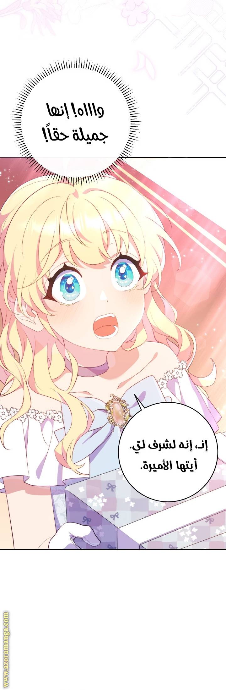 الصفحة 29