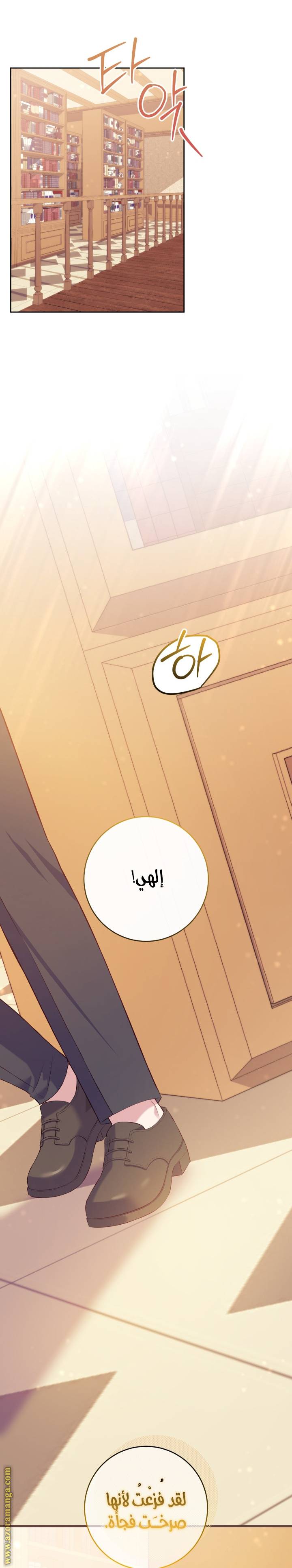 الصفحة 26