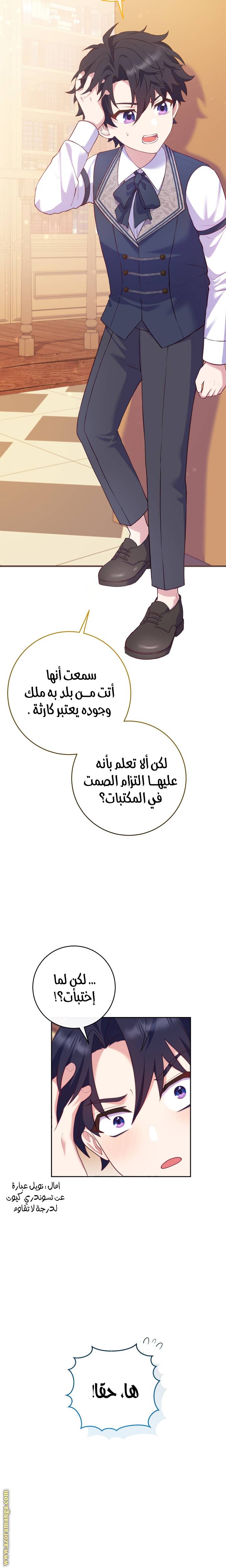 الصفحة 27