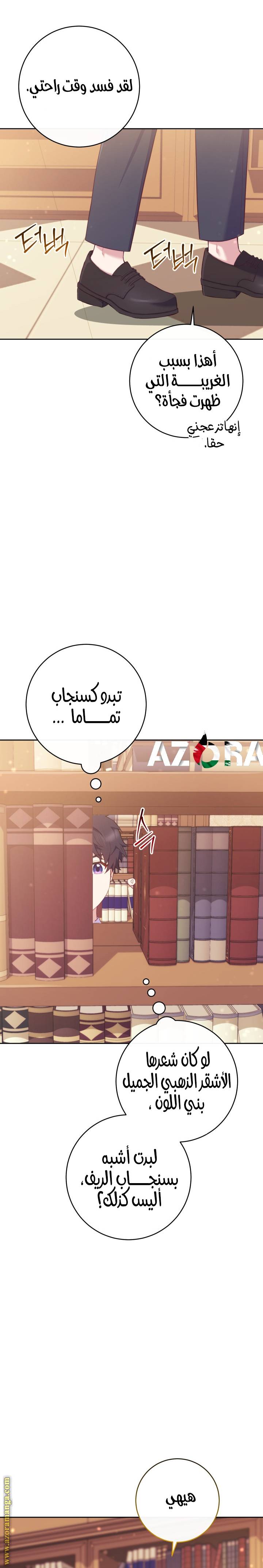 الصفحة 28