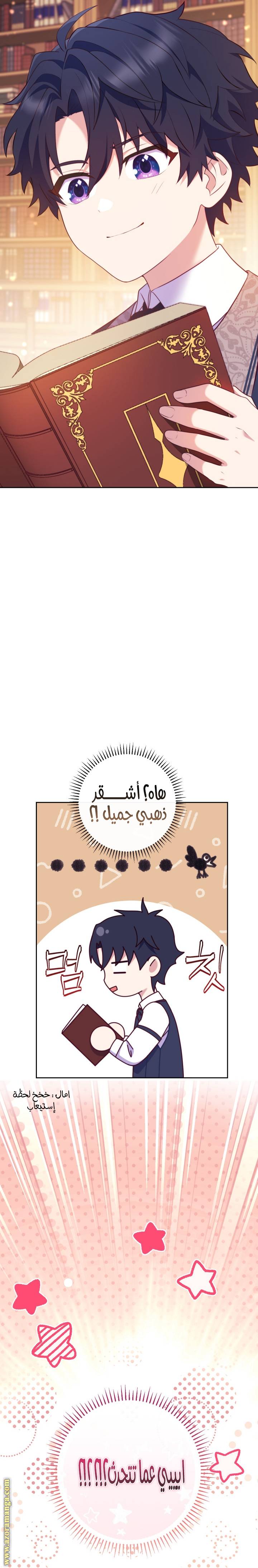 الصفحة 29