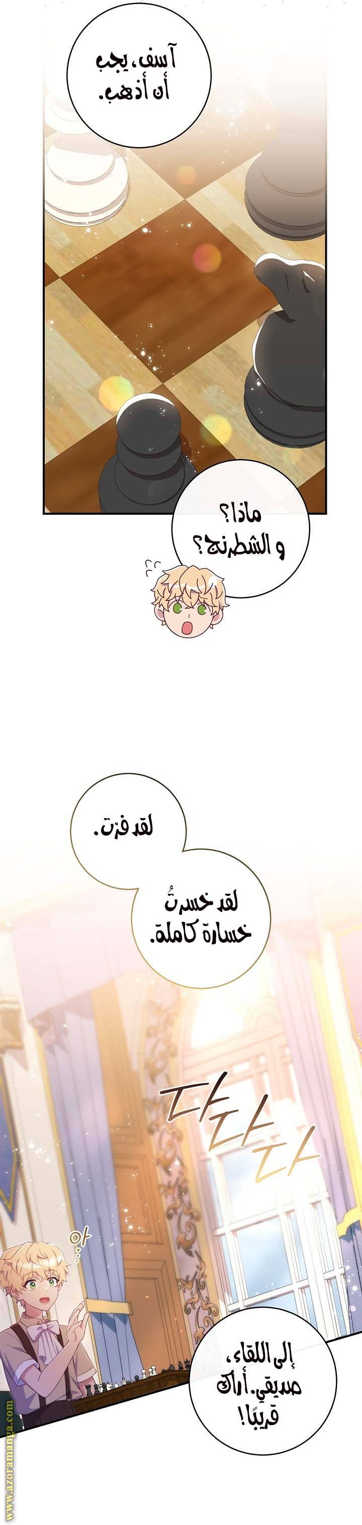 الصفحة 27