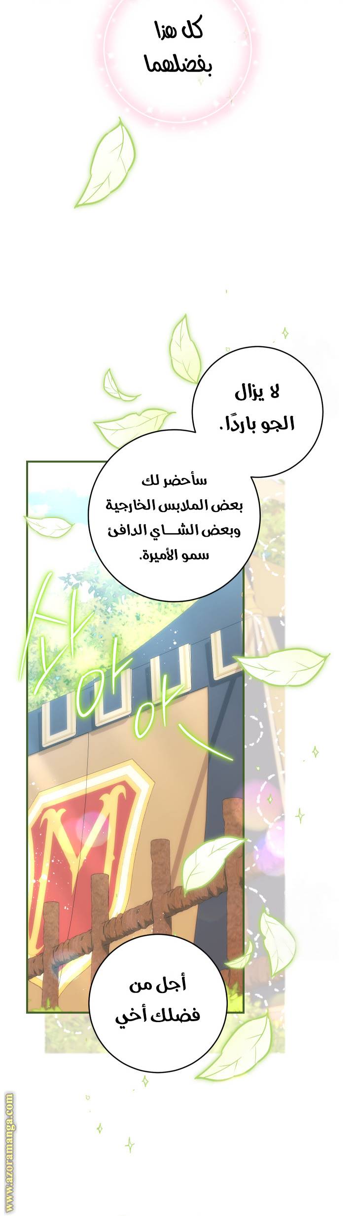 الصفحة 43