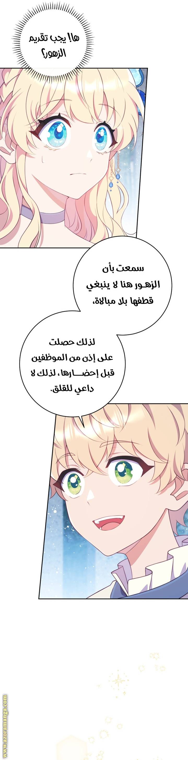 الصفحة 17