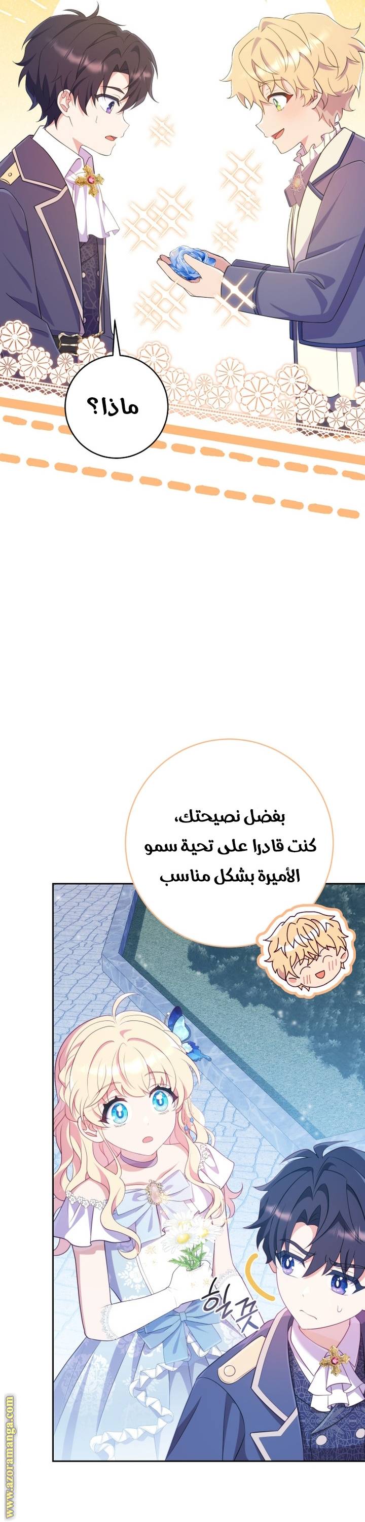 الصفحة 29