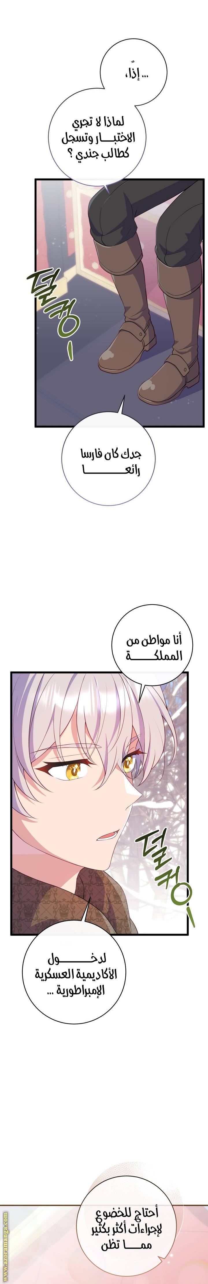 الصفحة 11