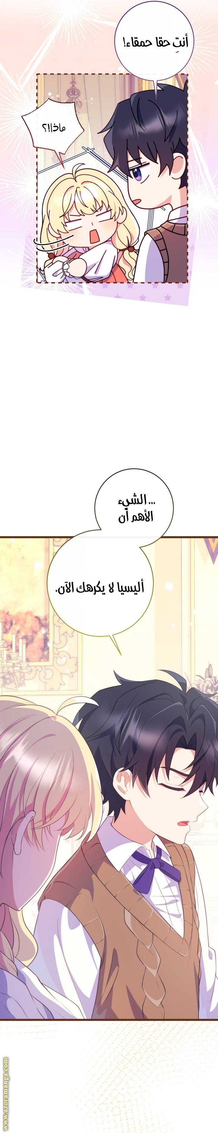 الصفحة 25
