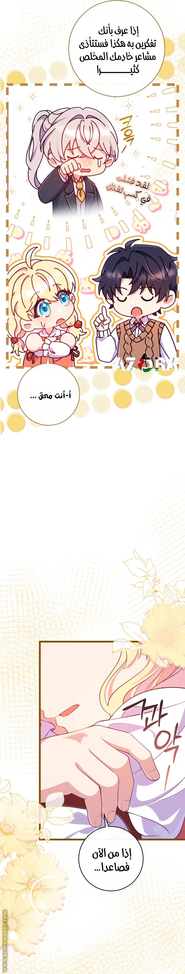 الصفحة 26