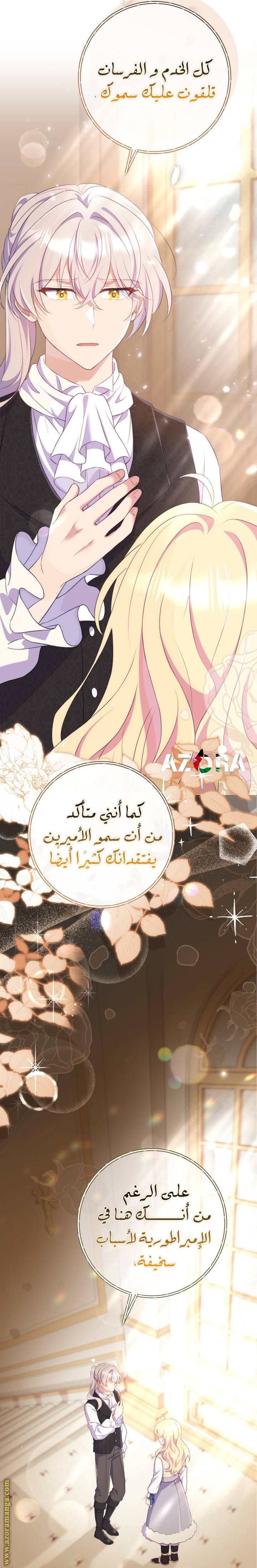 الصفحة 15