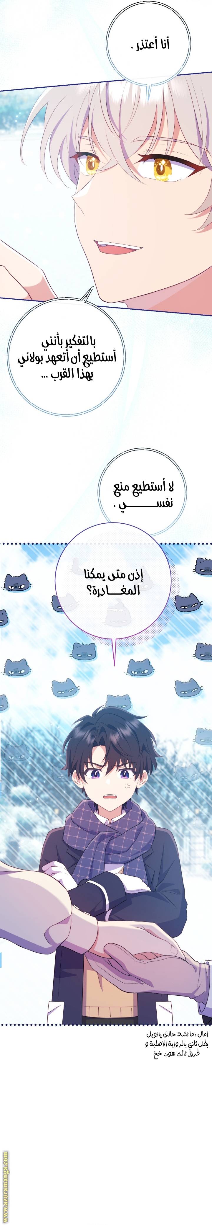 الصفحة 29