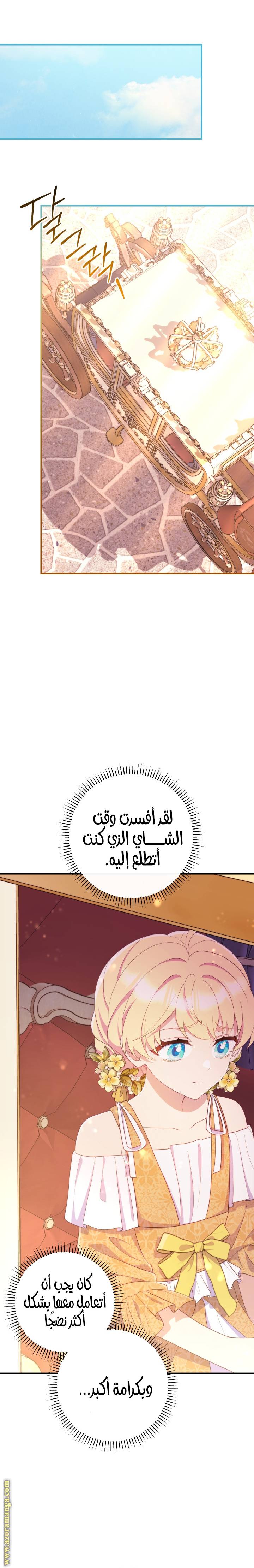 الصفحة 16