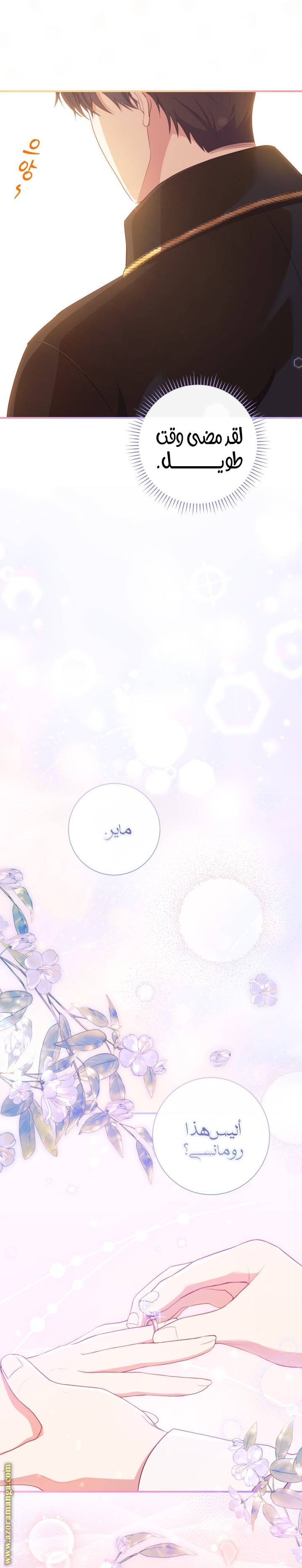 الصفحة 26
