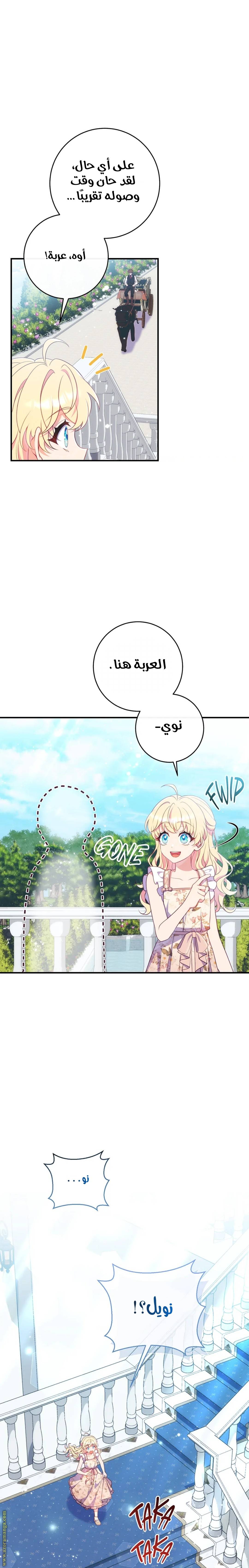 الصفحة 13