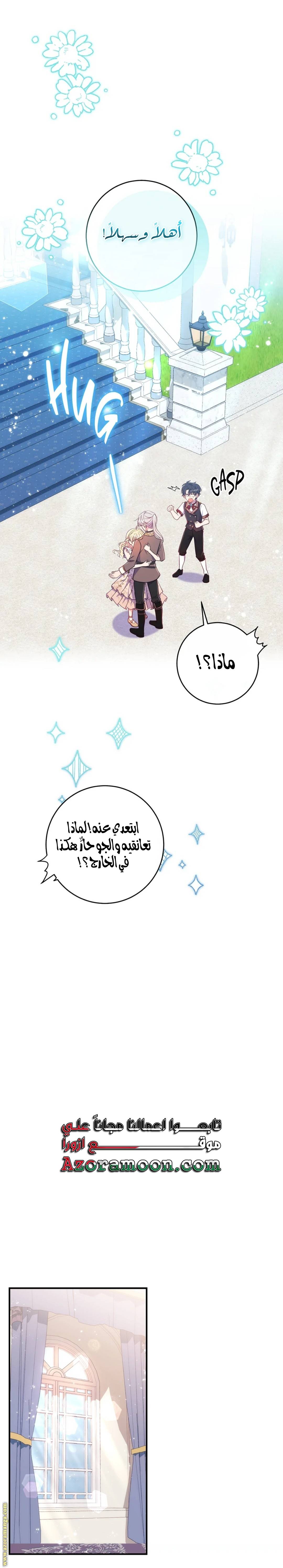 الصفحة 17