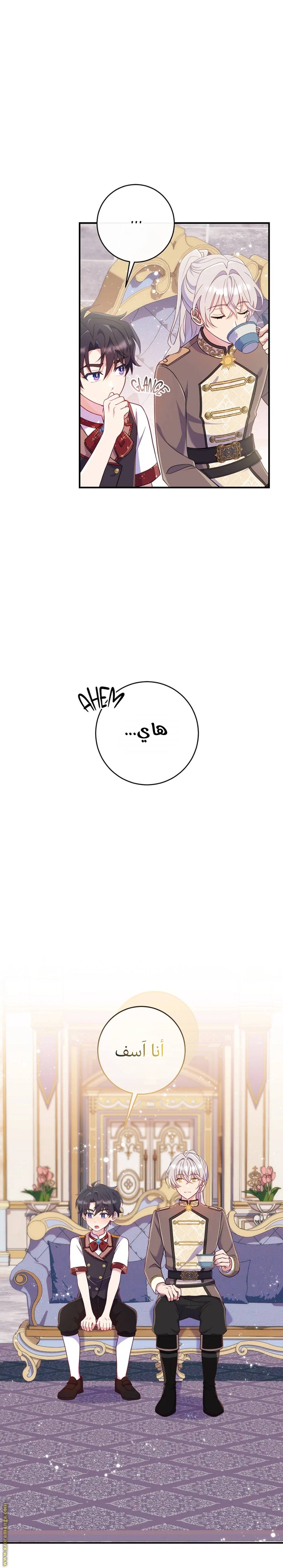 الصفحة 25