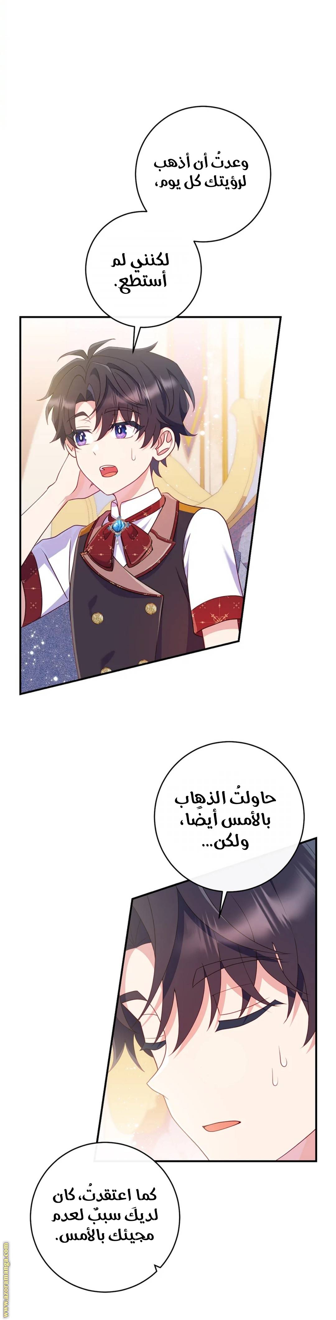 الصفحة 26