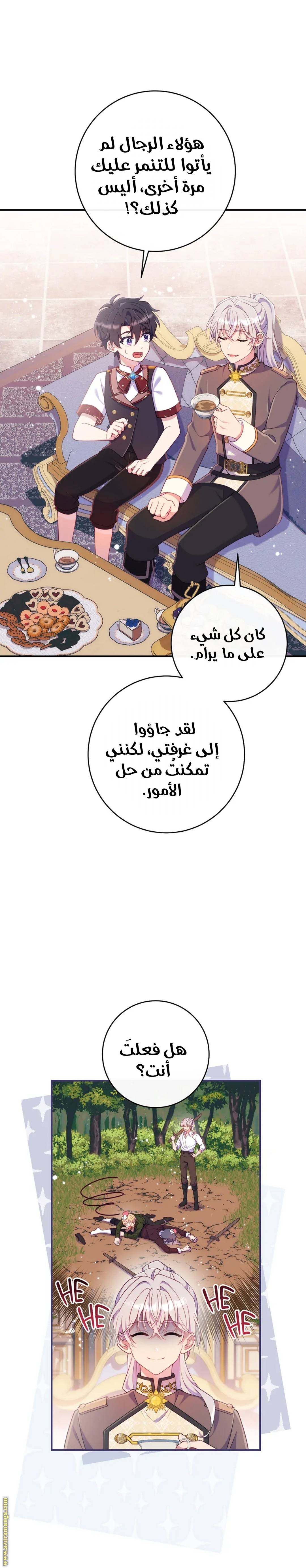 الصفحة 27